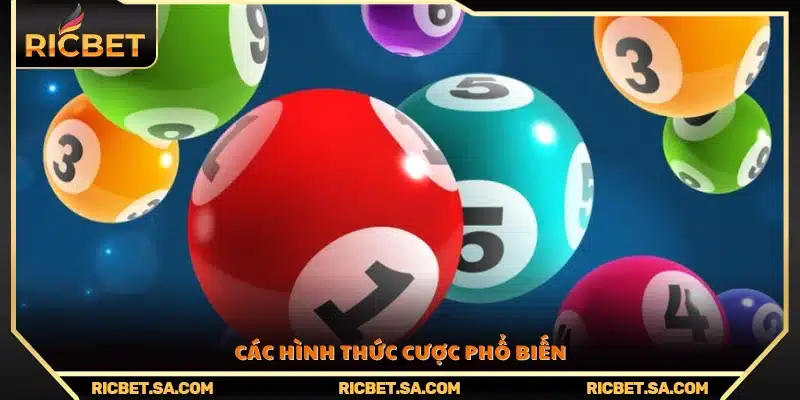 Tìm hiểu các kiểu cược thông dụng